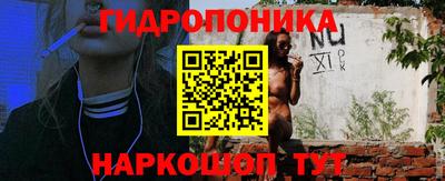 тгк Аргун